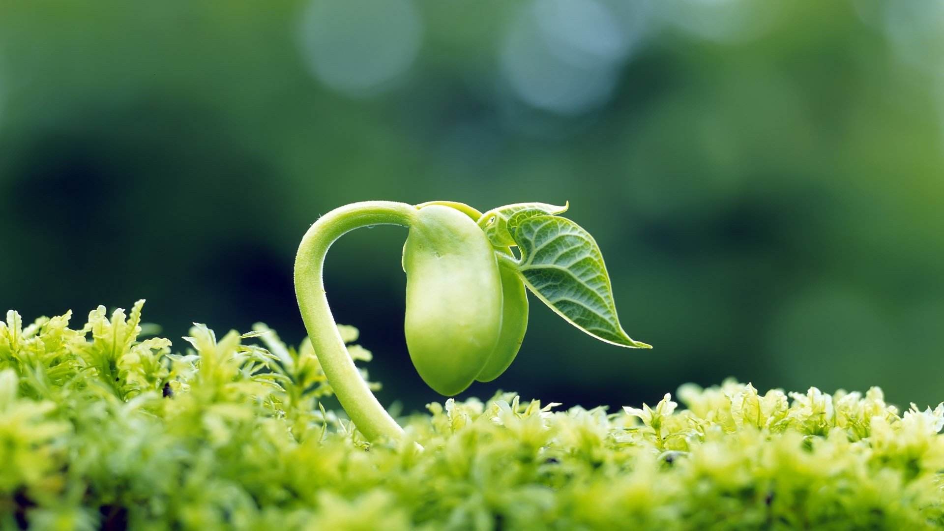 银川国企通过改革破茧成蝶