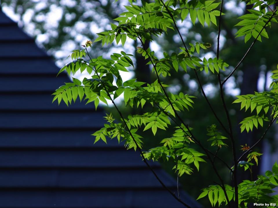 国企混改将全面提速 专家：突破口或在商业类企业